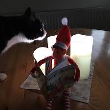 Elf 11 Liest Den Katzen Bei Led Kerzenschein Etwas Vor Euch Allen Einen Wunderschonen 3 Advent Holiday Decor Decor Elf