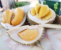 Where to eat durian in penang? Top 5 Places To Eat Durian In Penang Penang Foodie