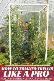 Vinyl wall trellis provides plenty of space for climbing roses and vines to add to your decor. Easy Pvc Tomato Trellis Part One
