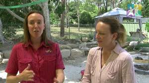 In This Video Judy Radich Visits The Karana Downs Early Education Centre Kdeec In Western Brisbane With Images Educational Programs Education National Quality Framework