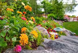 Annual flowering plants for full sun. 12 Full Sun Annual Flowers Flowers That Bloom All Summer Gardening Chores