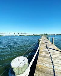 Annual Report 2019-2020