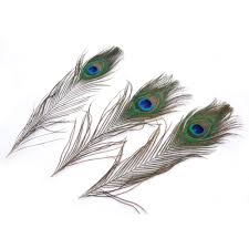 This image was published on july 10, 2017 by admin and falls into the category home decor. Clearance 10 12inch White Peacock Feather For Home Decor Pack Of 100 Natural Feathers For Diy Craft Wedding Home Party Decorations Great Gift For Girls Bedroom And Dorm Room Home Decor S13641