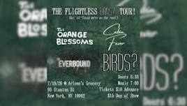The Orange Blossoms, Cabin Fever, Birds? and Everbound