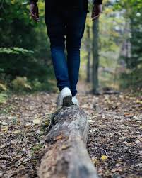 Photo Escapades : Randonne dcouverte des Ctes Noires