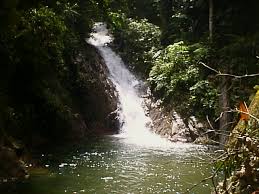 Bangunan dato' mohamad ibrahim munsyi. Hutan Lipur Negeri Johor Jabatan Perhutanan Semenanjung Malaysia