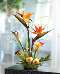 Plant tropical foliage corporation in saskatoon, saskatchewan. Exotic Tropical Botanicals Colorful And Lush Tropical Artificial Florals And Plants