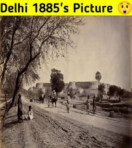 Bird's-eye view of Delhi— 1884.