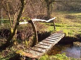 le ruisseau et le petit pont pont de jardin jardin d eau beaux jardins