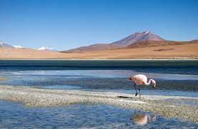 Imagine salt as far as the eye can see, reflections like you wouldn't believe, and a landscape that was. The Driest Place On Earth From Bolivia S Salt Flats To Chile S Atacama Desert The Expeditioner Travel Site