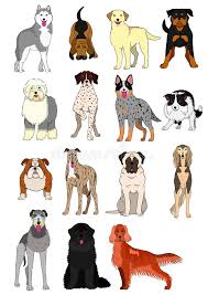 Group Of Large And Middle Dogs Breeds Hand Drawn Chart Stock
