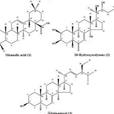 Image result for Centrostachys
