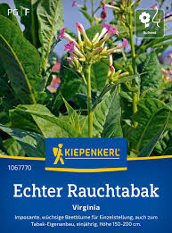 Image result for Nicotiana tabacum