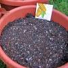 John and bob's smart soil solutions is a unique, integrated system of fertilizer and live microbes that work. 1