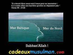 Eau douce dans la mer. Barriere Entre Les Eaux Douces Et Les Eaux Salees Youtube