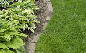 Rasenkantensteine Verlegen So Wird S Gemacht In 2020 Rasenkantensteine Rasenkanten Garten Bepflanzen