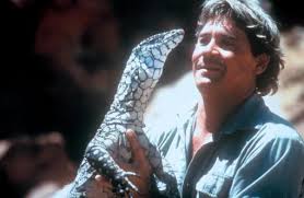 From wikimedia commons, the free media repository. Steve Irwin Uber Diesen Star Cinema De