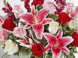 It even grows pink flowers. Mother S Day 2021 The Best Flower Delivery Deals Available