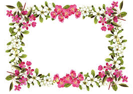 Check spelling or type a new query. Download Free Printable Clip Art Borders Digital Flower Flower Border Png Png Image With No Background Pngkey Com