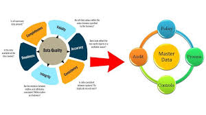 The Relationship Between Data Quality And Master Data Management Data Quality Master Data Management Data Science