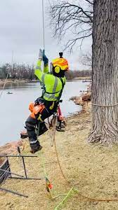 Maybe you would like to learn more about one of these? Noe Tree Service Home Facebook