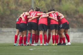 Football predictions, tips, review, info, analysis and advanced statistics on liga bpi women (portugal) football league. Comienza Este Sabado La Ampliada Liga Bpi Division De Honor Del Futbol Femenino En Portugal Rias Baixas Tribuna