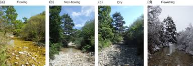 A stream is considered temporary if surface flow ceases during dry periods. River Ecosystem Conceptual Models And Non Perennial Rivers A Critical Review Allen 2020 Wires Water Nbsp Nbsp Nbsp Wiley Online Library
