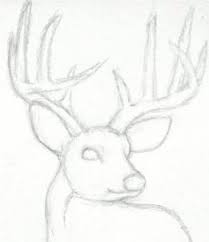 Be an expert in drawing by learning to draw in just 5 minutes! How To Draw A Deer Head Buck Dear Head Step 3 Drawings Art Drawings Sketches Sketches