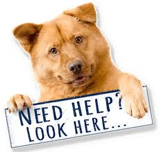 Check spelling or type a new query. Prayer Requests St Roch Patron Saint Of Dogs