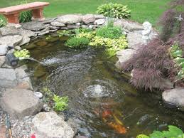 backyard pond kits home depot  design