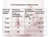 отрицательный резус таблица группы крови и резус фактора родителей и детей Kartochki Eda Na Anglijskom Yazyke Anglijskij Yazyk Yazyk Uchimsya Chitat