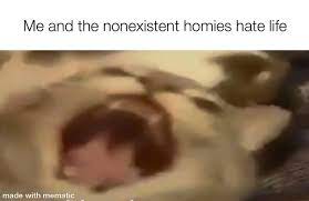 My Life Is In Shambles Memes