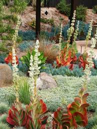 Pin By Cnps Garden Native On Gardens Drought Tolerant Garden Xeriscape Plants