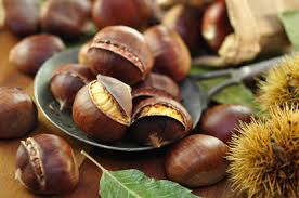 Ab wann sind smartphones okay? Esskastanie Baum Pflanzen Pflegen Schneiden Blute Erntezeit