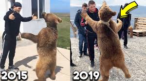 Share this meme with him when he made a bear meme confession and you also like to live dangerously. Khabib Wrestling Bears 2015 Vs 2020 In Dagestan Youtube