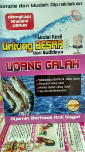 Ikan bersisik dianggap sebagai gambaran rezeki dan kemakmuran yang berlimpah. Budidaya Udang Galah Di Drum Infoakuakultur Com
