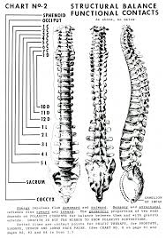 Pin By Lee Shefer Boswell On Polarity Therapy Therapy