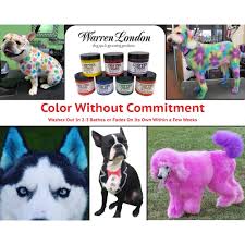 Pet dog cat animals hair coloring dyestuffs dyeing pigment agent supplies beauty. Warren London Critter Color Alexa S Soft Pink Kiss Temporary Fur Coloring For Dogs 4 Fl Oz Petco