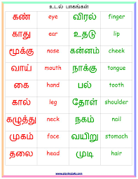 Trending topics for grade 1. Astonishing Tamil Worksheets For Preschool Photoions Duckcommandermusical Printable Noorani Jnnoory On Pinterest Worksheet Samsfriedchickenanddonuts