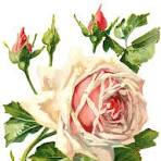 17 Free Vintage Roses Images - Gorgeous! - The Graphics Fairy