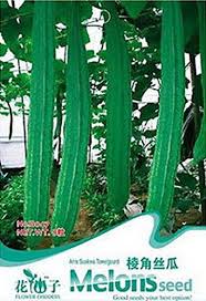 The plant is an annual vine, native to south asia and southeast asia. Yard Garden Outdoor Living Home Garden Fd1388 1 Pack 8 Seeds Arris Luffa Seed Towel Gourd Luffa Cylindrica Roem Seeds