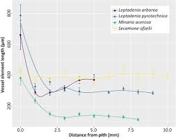 Image result for Secamone stuhlmannii