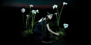 Penelope Trappes