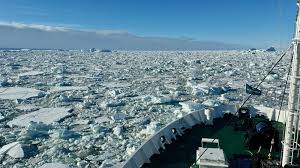 Image result for Polar Grey 1982 Fleet