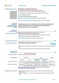 Il modello di cv più diffuso in europa. Curriculum Vitae Europass Download 2017 Www Rhodia Club Com