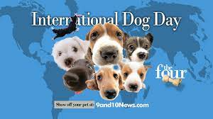 National dog day honors family dogs and dogs that work selflessly to save lives, keep us. Submit Your Dog Pictures For International Dog Day 9 10 News