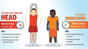 Image result for Muscle Weakness