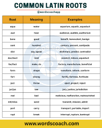 Common Latin Roots #rootwords #learnenglish #English #vocabulary