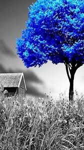 Nature Wallpaper Blue Colour Blue sky phenomenon digital wallpaper, dark sky with white light flares. nature wallpaper blue colour