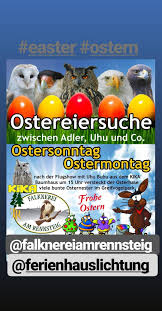 Pin Auf Ferienhaus Lichtung